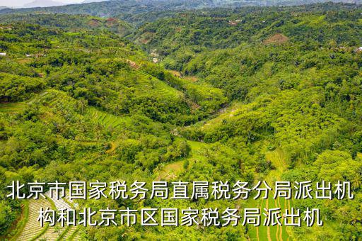 北京市國家稅務局直屬稅務分局派出機構(gòu)和北京市區(qū)國家稅務局派出機