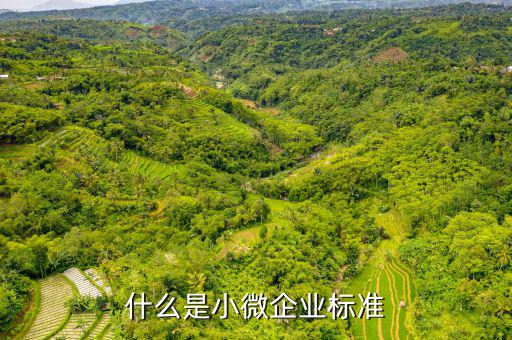 小型微利企業(yè)標準是什么，微小型企業(yè)的標準是什么