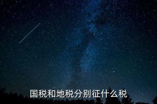 國稅地稅分別報(bào)什么稅，國稅和地稅局分別要交哪些稅和報(bào)表