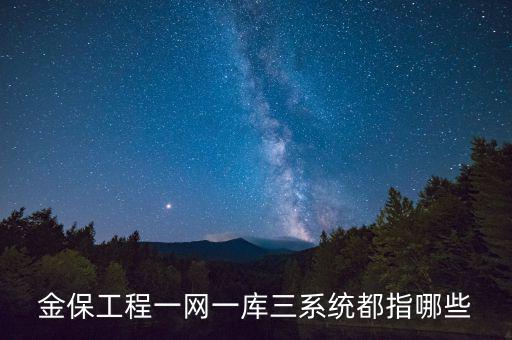 什么是金三系統(tǒng)，會(huì)計(jì)證外借給公司掛靠什么也沒(méi)做就被金三系統(tǒng)監(jiān)控了