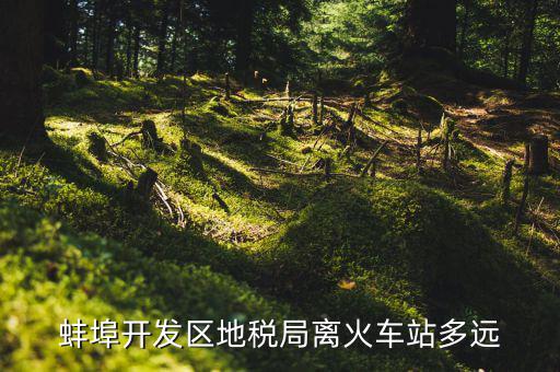 蚌埠開發(fā)區(qū)地稅局離火車站多遠(yuǎn)