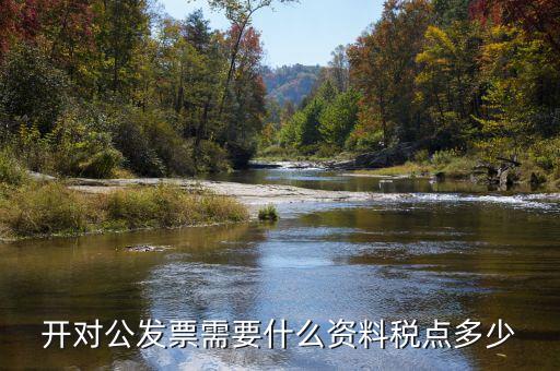 對(duì)公開票需要什么信息，公對(duì)公開發(fā)票 需要對(duì)方什么信息