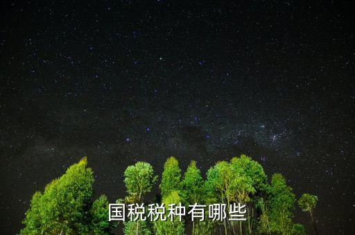國稅都有什么稅，國稅包括哪些啊