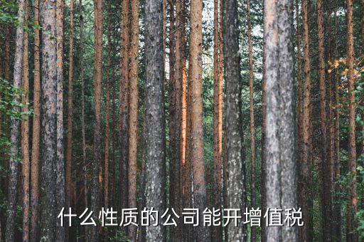 什么性質的公司能開增值稅