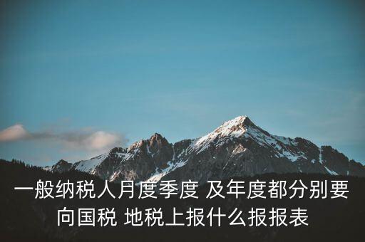 一般納稅人月度季度 及年度都分別要向國(guó)稅 地稅上報(bào)什么報(bào)報(bào)表