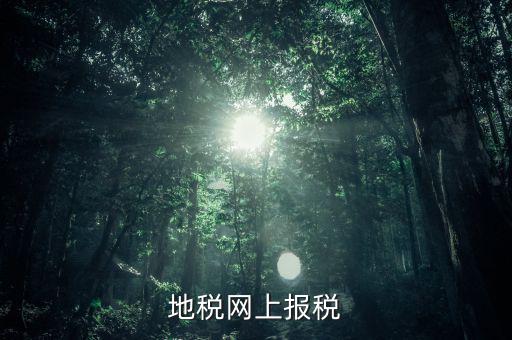 地稅網(wǎng)上需要報(bào)什么稅，網(wǎng)上報(bào)稅地稅國稅各有哪些稅種