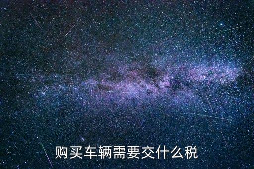 車輛納稅需要什么，汽車交稅需要帶什么