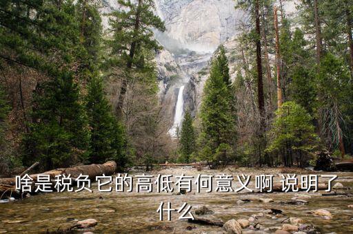 什么是稅負(fù)分析，增值稅稅負(fù)什么意思