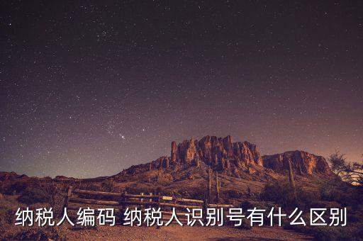 納稅人的識別號是什么意思，納稅人識別號是什么
