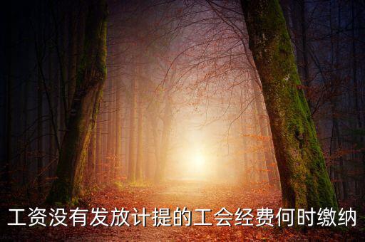 工會(huì)經(jīng)費(fèi)一般什么時(shí)候交，工資沒有發(fā)放計(jì)提的工會(huì)經(jīng)費(fèi)何時(shí)繳納