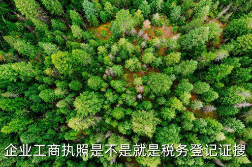 什么是工商稅務(wù)登記證，什么是稅務(wù)證