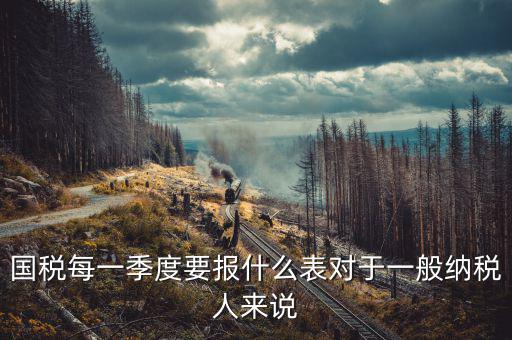國(guó)稅每一季度要報(bào)什么表對(duì)于一般納稅人來(lái)說(shuō)