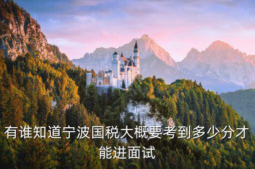 國(guó)稅 要求什么素質(zhì)，國(guó)稅公務(wù)員面試