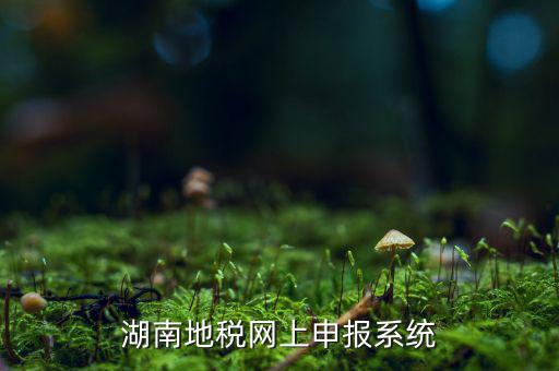 湖南省的地稅報(bào)稅軟件是什么，湖南地稅網(wǎng)上申報(bào)系統(tǒng)