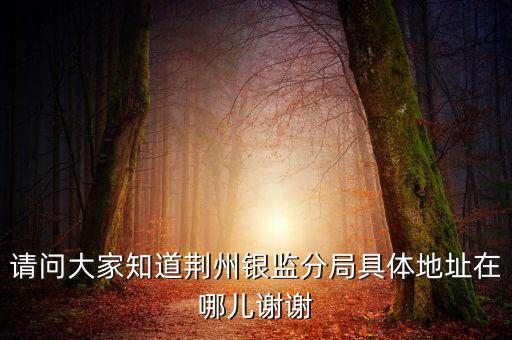 請(qǐng)問大家知道荊州銀監(jiān)分局具體地址在哪兒謝謝