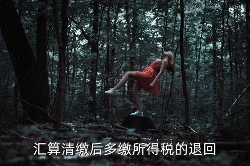 匯算清繳多繳稅款什么時(shí)候退，企業(yè)所得稅匯算清繳退款什么時(shí)候到賬