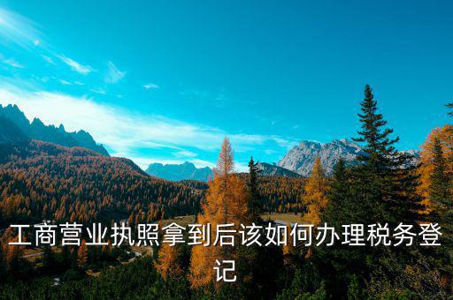 營業(yè)執(zhí)照辦理后稅務(wù)辦理什么，工商營業(yè)執(zhí)照拿到后該如何辦理稅務(wù)登記