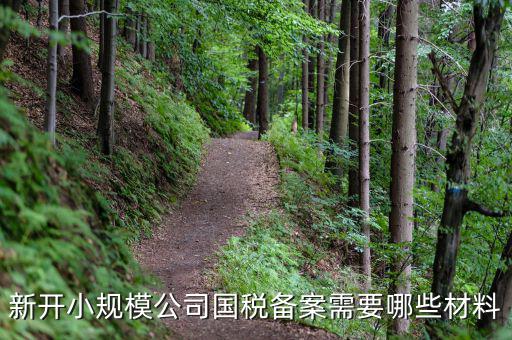 國稅備案需要什么材料，新開小規(guī)模公司國稅備案需要哪些材料