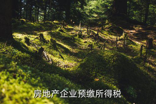 房地產(chǎn)預(yù)繳是什么意思，房?jī)r(jià)預(yù)交1萬抵2萬是什么意思