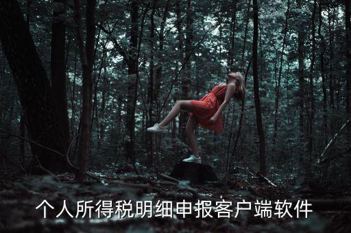 個人所得稅明細申報客戶端軟件
