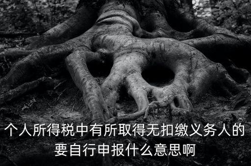 什么叫自行申報(bào)，個(gè)人所得稅中有所取得無扣繳義務(wù)人的要自行申報(bào)什么意思啊