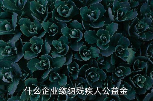 什么企業(yè)需申報(bào)殘疾人保障金，哪些單位應(yīng)該繳納殘疾人保障基金
