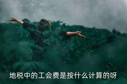 地稅代征的工會經(jīng)費按什么計算，地稅中的工會費是按什么計算的呀