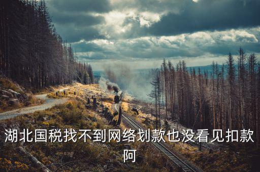 湖北省國稅局四個(gè)確保是什么，湖北國稅找不到網(wǎng)絡(luò)劃款也沒看見扣款阿