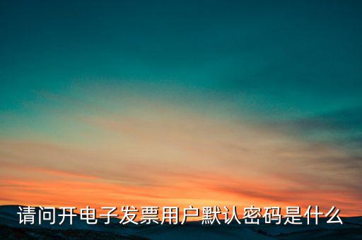 重慶國(guó)稅電子發(fā)票登錄密碼是什么意思，國(guó)稅局發(fā)票軟件里用戶代碼和密碼是什么