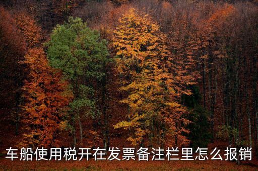 車船使用稅為什么在發(fā)票備注欄，保險(xiǎn)公司代收的車船稅稅款是填在備注欄里的么
