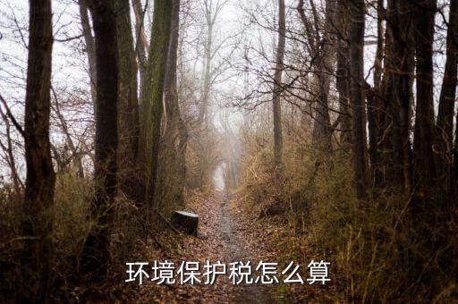 環(huán)保稅以什么為標準繳納，你認為汽車環(huán)保稅應該如何征收 具體點 謝謝