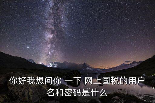 網(wǎng)上稅務(wù)辦理密碼是什么意思，國稅第一次網(wǎng)上申報(bào)的登陸密碼是什么