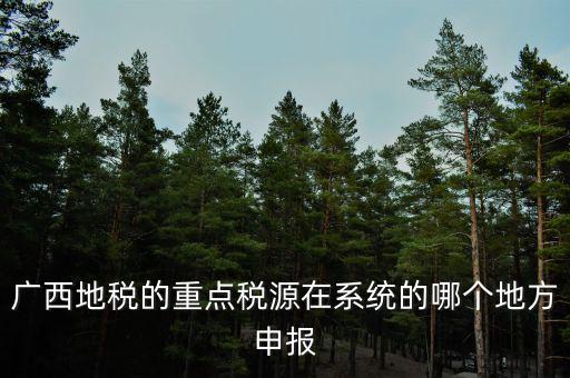 廣西地稅網(wǎng)是什么，進(jìn)入廣西地稅網(wǎng)后為什么網(wǎng)上辦稅大廳會(huì)進(jìn)不去