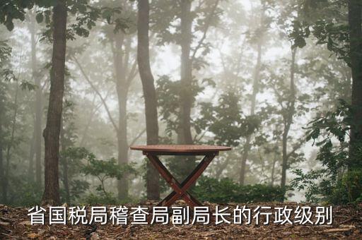 湖南稽查局長(zhǎng)什么級(jí)別，湖南廣電局紀(jì)檢組長(zhǎng)是什么級(jí)別