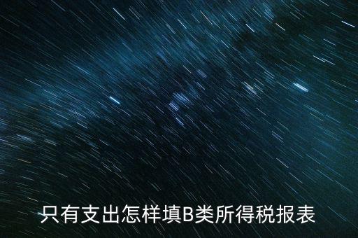 個(gè)人生產(chǎn)經(jīng)營(yíng)所得B表稅金填什么，只有支出怎樣填B類(lèi)所得稅報(bào)表