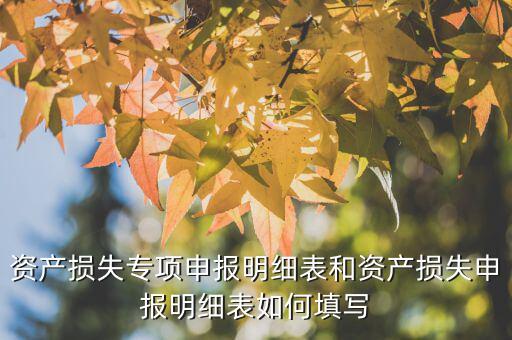 什么是專項資產(chǎn)損失申報表，所得稅申報表怎么填22資產(chǎn)損失