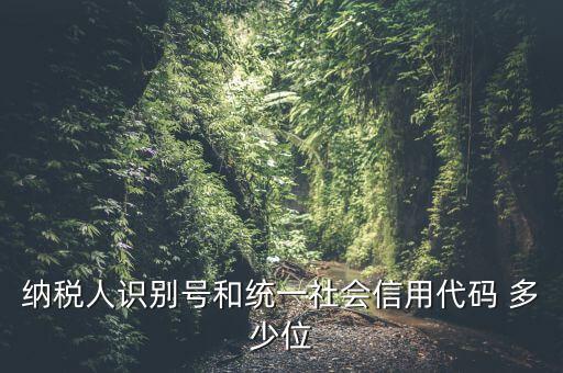 納稅人識別號和統一社會信用代碼 多少位