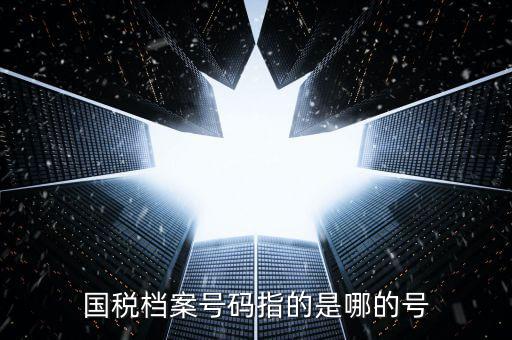 國(guó)稅號(hào)碼是什么，什么是國(guó)稅檔案號(hào)