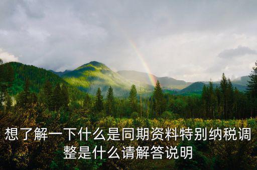 想了解一下什么是同期資料特別納稅調整是什么請解答說明