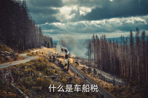 繳納車船稅是什么，什么是車船稅
