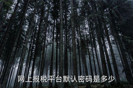網(wǎng)上報(bào)稅平臺默認(rèn)密碼是多少