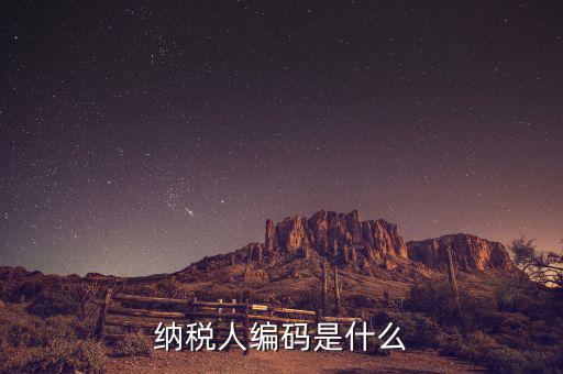 納稅人國稅編碼是什么意思，納稅人編碼是什么