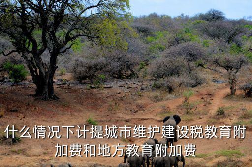 什么情況下免交地方教育稅附加，什么情況下計提城市維護建設(shè)稅教育附加費和地方教育附加費