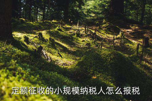 小規(guī)模納稅人 什么定額申報，定額征收的小規(guī)模納稅人怎么報稅