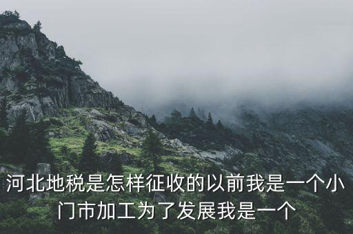 河北省地稅報稅征收方式是什么，河北地稅申報個人所得稅