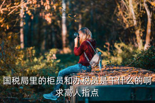 國稅局導稅員干什么的，國稅局里的柜員和辦稅員是干什么的啊求高人指點
