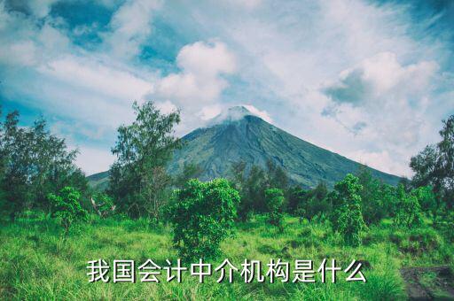 什么是涉稅中介機構(gòu)，我國會計中介機構(gòu)是什么