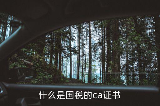 ca稅務(wù)數(shù)字證書(shū)是什么，什么是國(guó)稅的ca證書(shū)