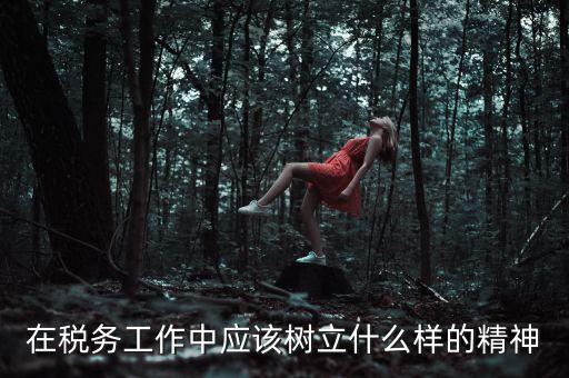 中國稅務(wù)精神是什么2018，在稅務(wù)工作中應(yīng)該樹立什么樣的精神