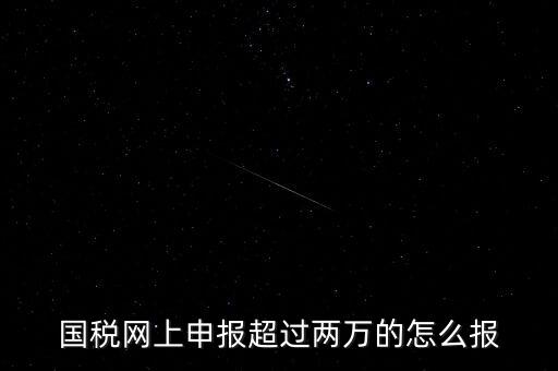 國稅網報入口是什么，怎樣才能進入小規(guī)模納稅人增值稅網上申報系統